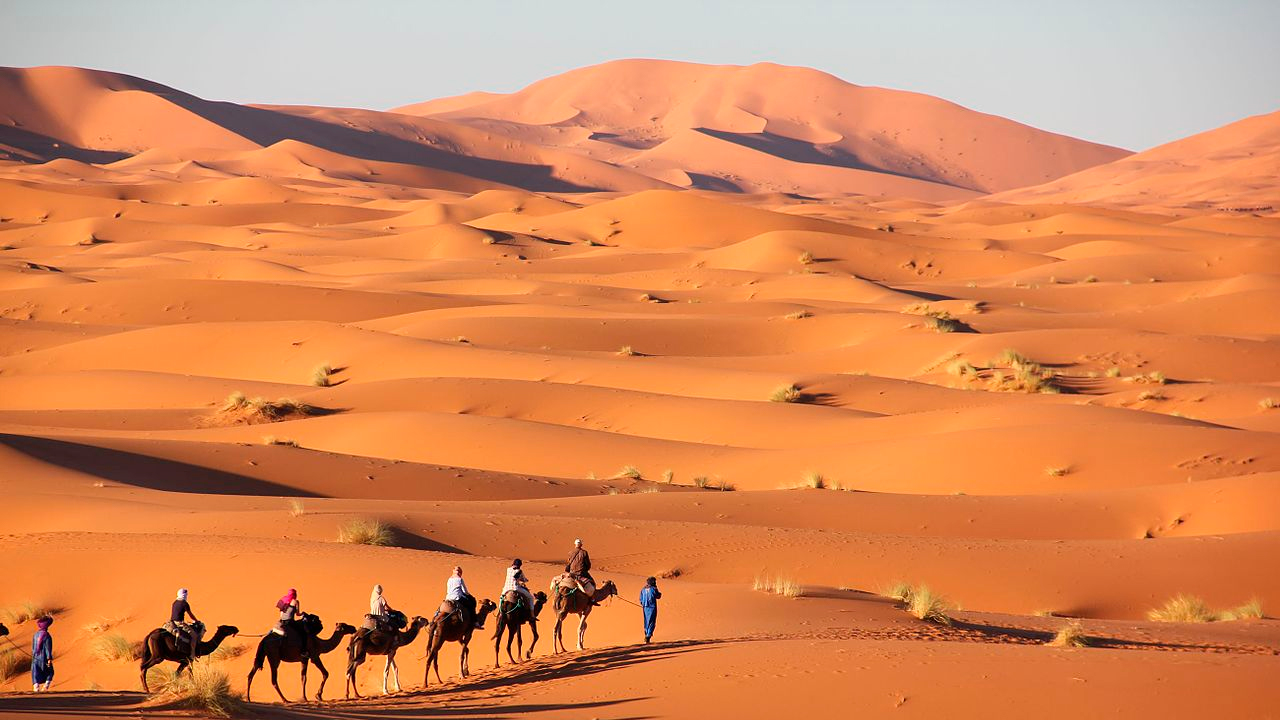 Egipto con Desierto